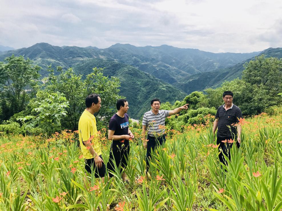 油脂集团领导到帮扶村调研